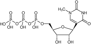 Structural formula of N1-Methylpseudo-UTP (me1Ψ-UTP, N1-Methylpseudouridine-5'-triphosphate, Sodium Salt)