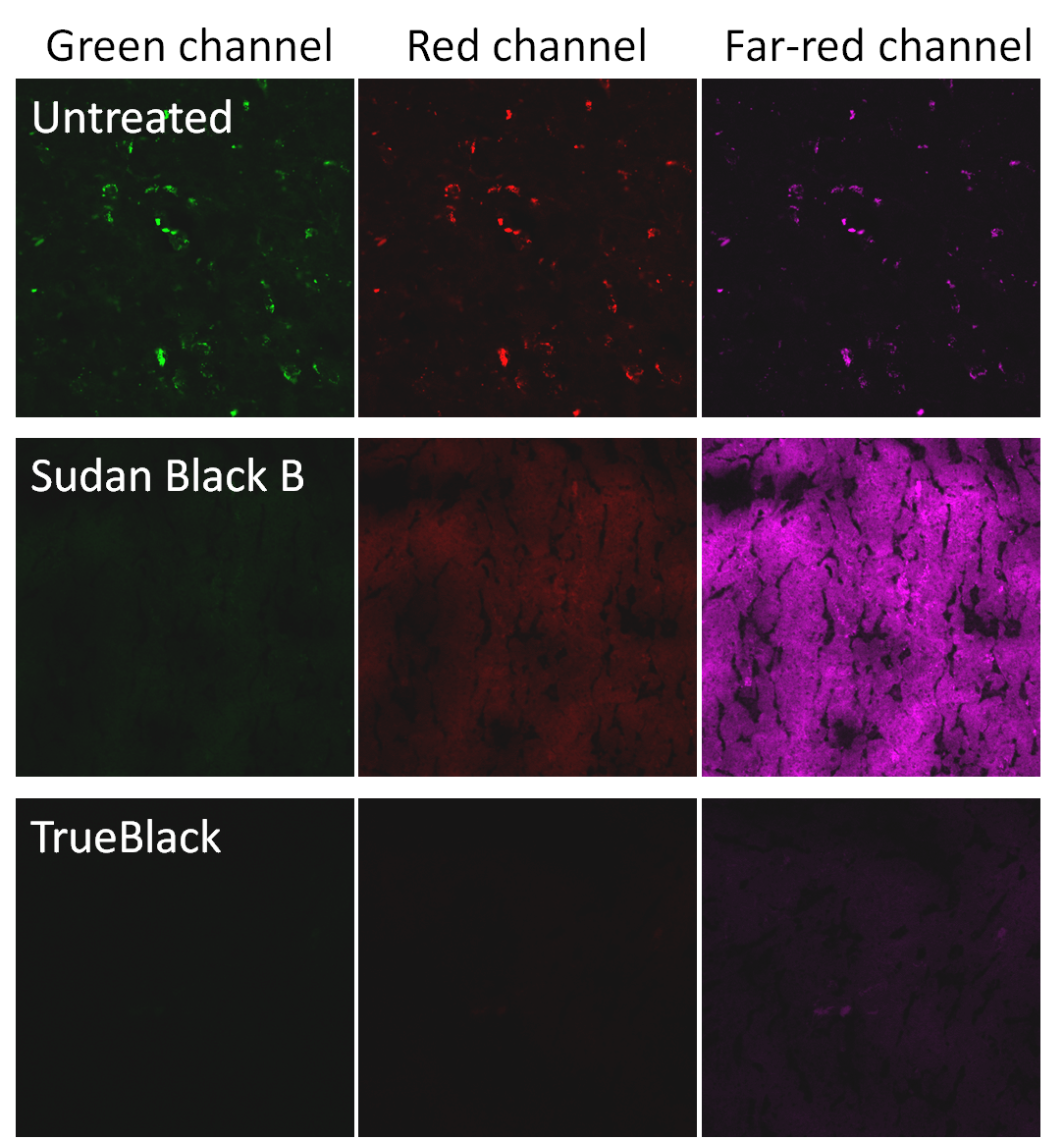 TrueBlack composite 2