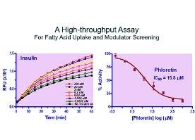 Fatty Acid Uptake Assay Kit