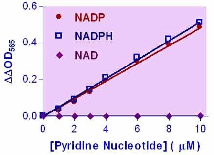 NADP+/NADPH Assay Kit