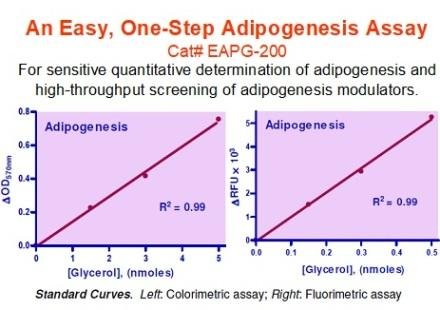 Adipogenesis Assay Kit