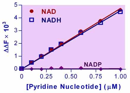 NAD/NADH Assay Kit