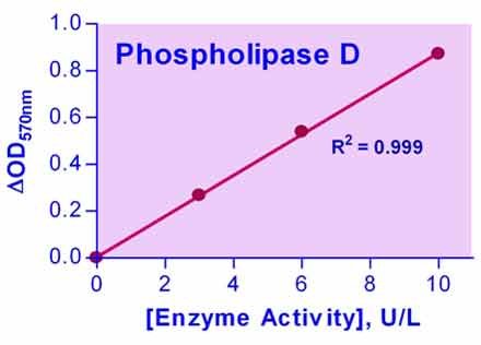 Phospholipase D Assay Kit