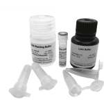 RNA Basic Kit (25 reactions)