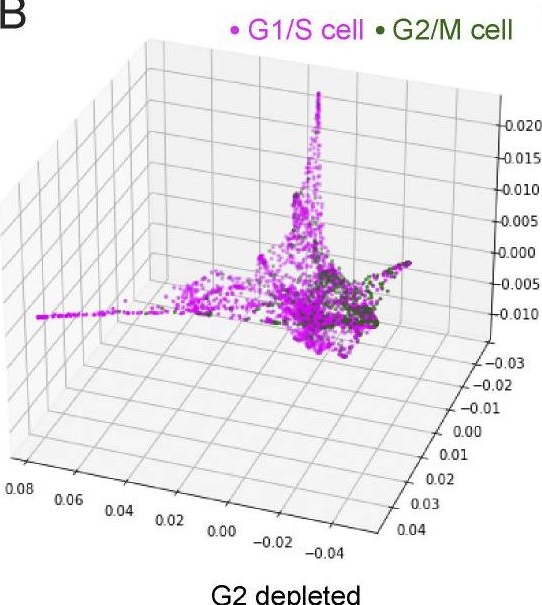 Cell cycle controls long-range calcium signaling in the regenerating epidermis.