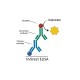 Porcine Leptospira IgG ELISA Kit