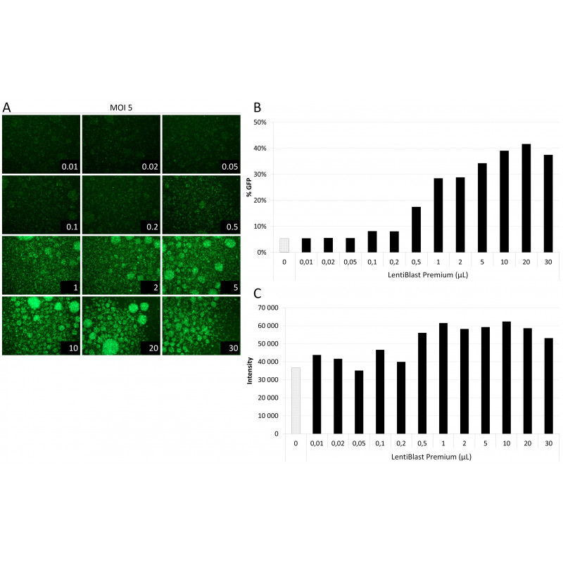 LentiBlast Premium Transduction Enhancer