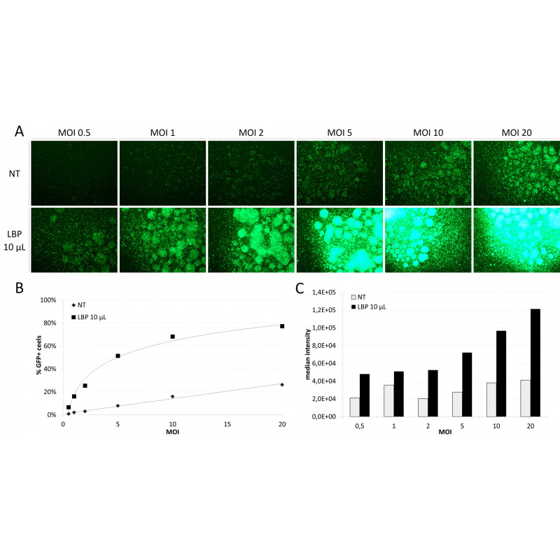 LentiBlast Premium Transduction Enhancer