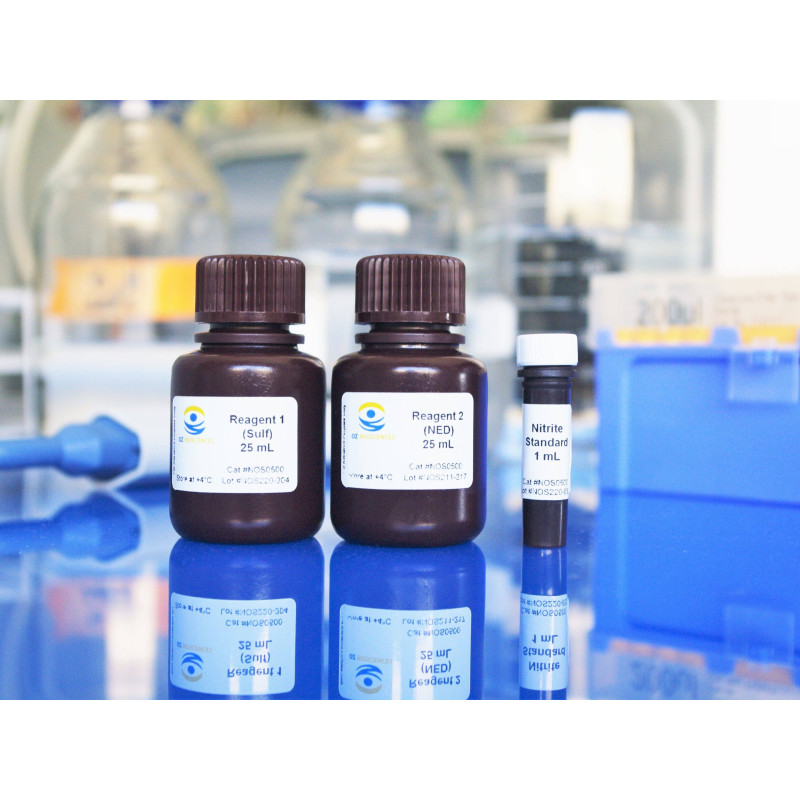 Nitric Oxide Detection Kit