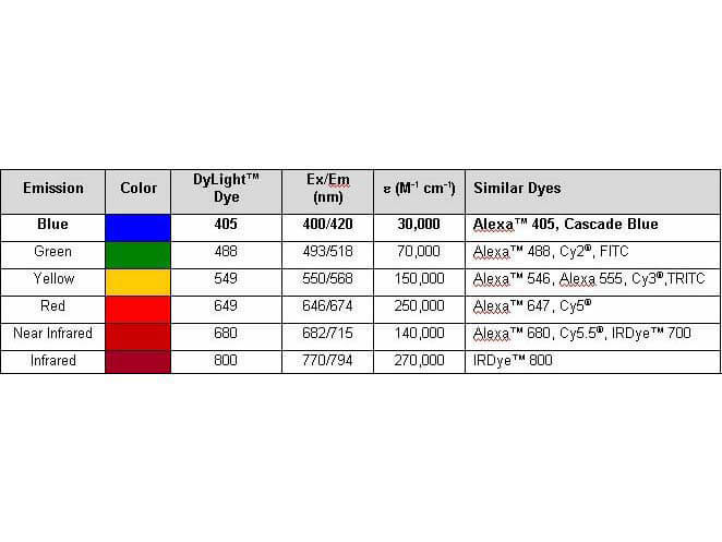 Properties of DyLight™ Conjugates.