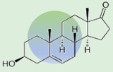 Dehidroepiandrosterona