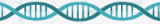 SYBR Green Mixes without ROX for RT-qPCR