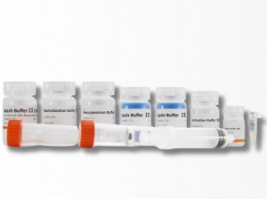 Purificação de DNA de plasmídeo: A eficiência do EasyPure® 1-Tube Universal EndoFree MaxiPrep Kit