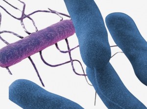 Métodos de teste inovadores para Listeria e Legionella