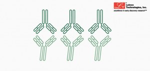 20% de desconto nos anticorpos biossimilares da Leinco Technologies